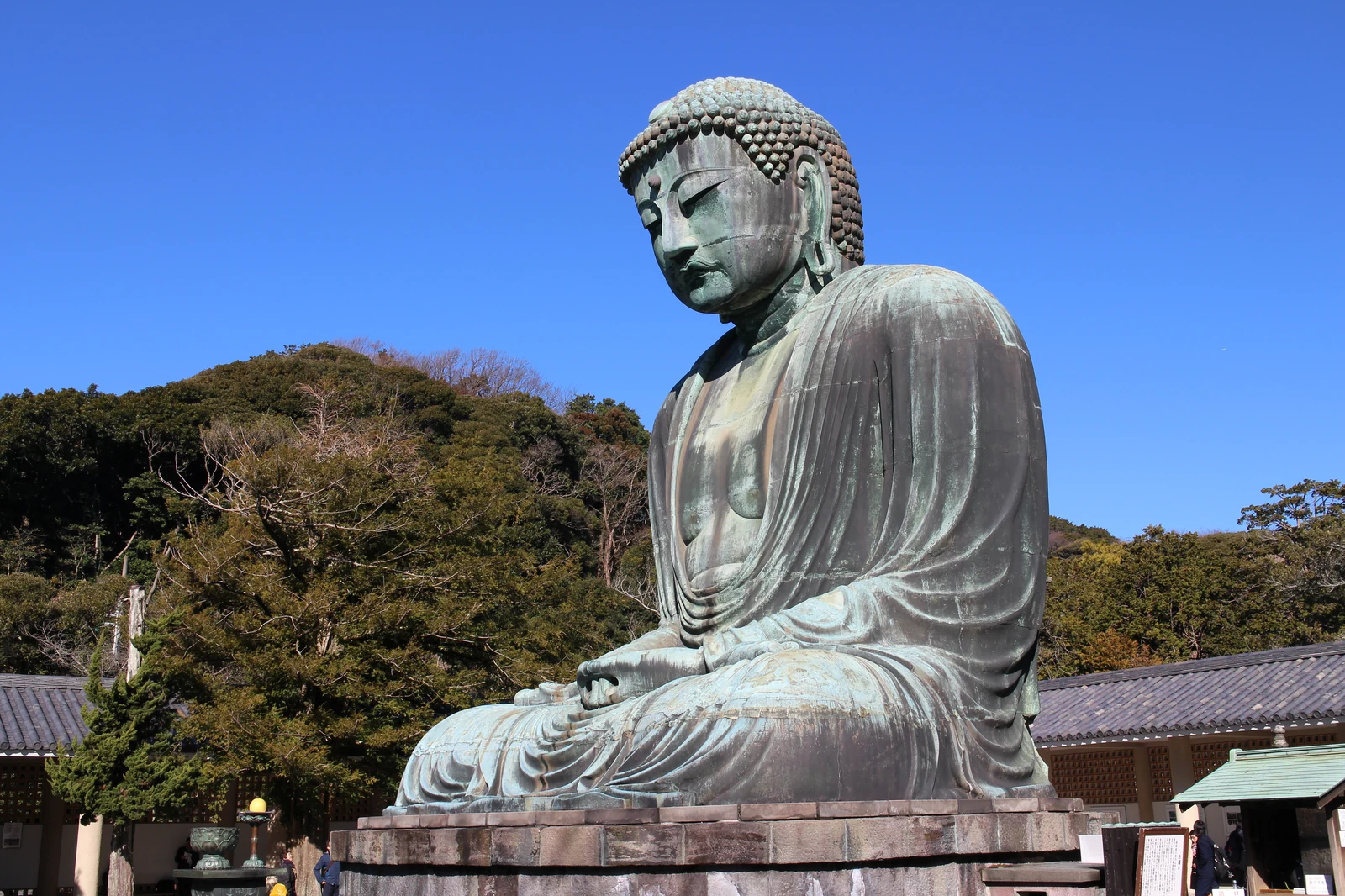 The Great Buddha of Kamakura Kotoku-in temple, a key stop on the Kamakura Slam Dunk pilgrimage day trip from Tokyo