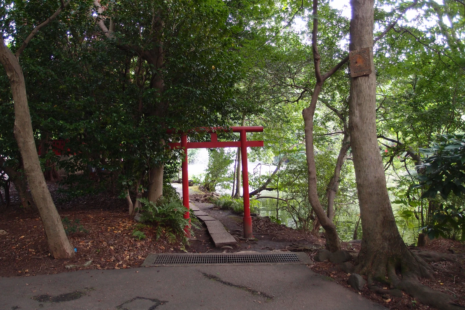 Red torii gate at Inokashira Park in Kichijoji, the slice-of-life anime backdrop near the Ghibli Museum