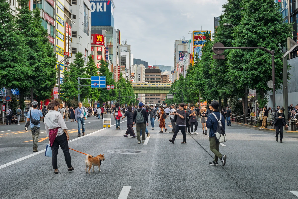 Akihabara main street closed to traffic for the Sunday hokoten pedestrian zone, the format that lets walking tours stop in the middle of Chuo-dori