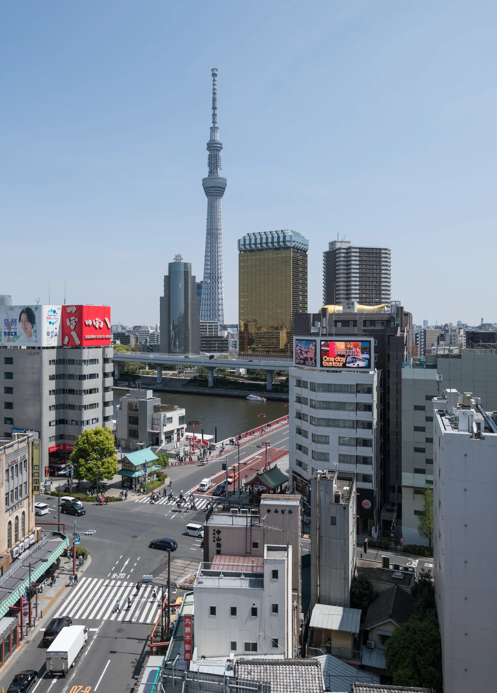 Tokyo Skytree daytime view from Asakusa across the Sumida River, the same vantage point used for free public viewing of the BLUE LOCK lighting