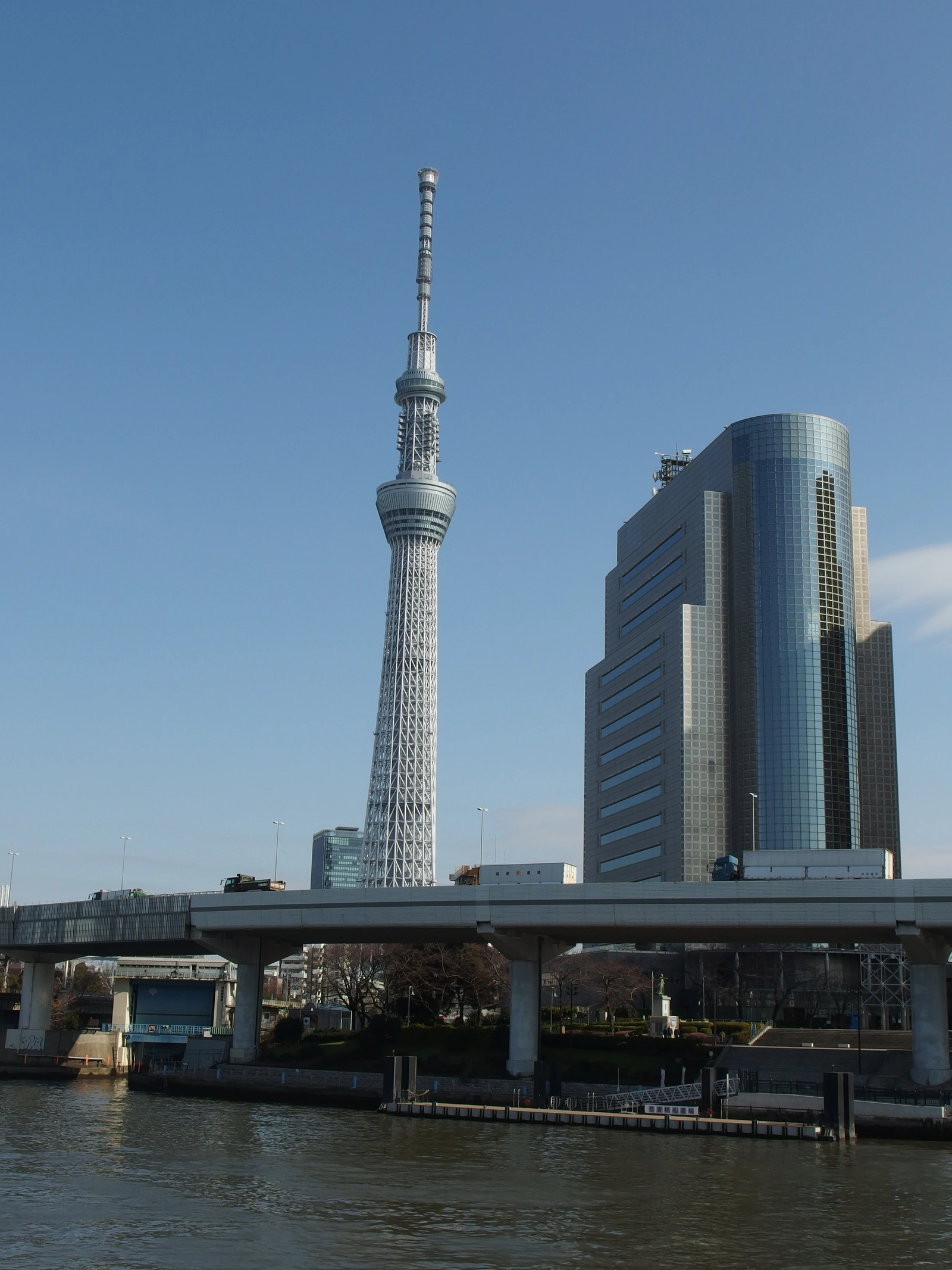Tokyo Skytree from Sumida Park, recommended free viewing zone for the Blue Lock evening illumination