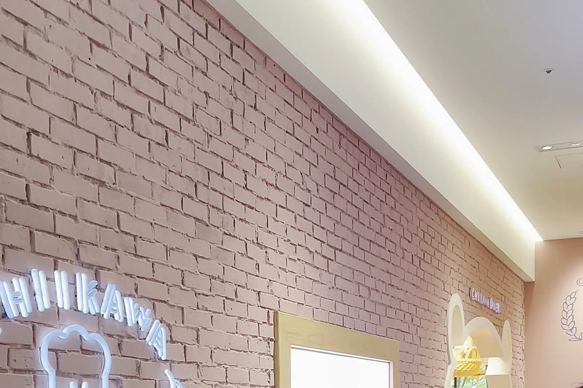 Morning ticket distribution queue at a Chiikawa flagship store