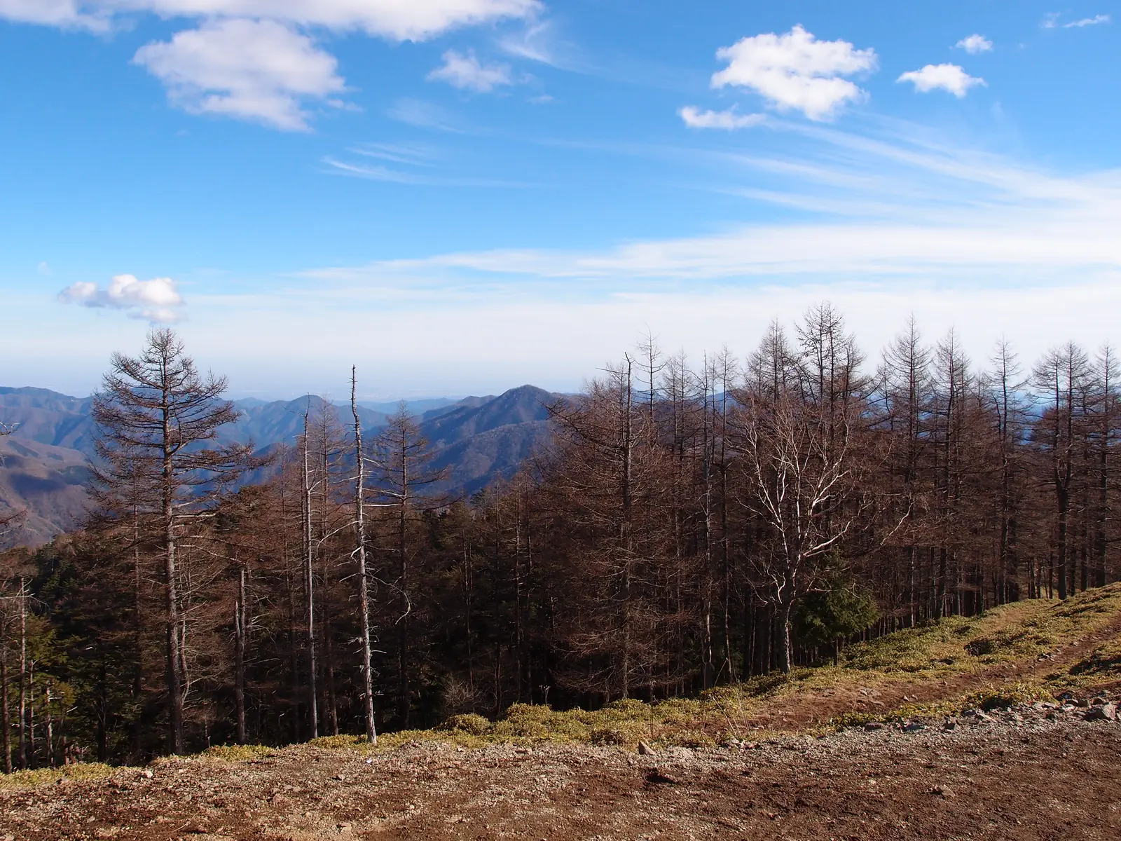 View from the summit of Mount Kumotori in western Tokyo, the canonical mountain home of Tanjiro and Nezuko Kamado in Demon Slayer