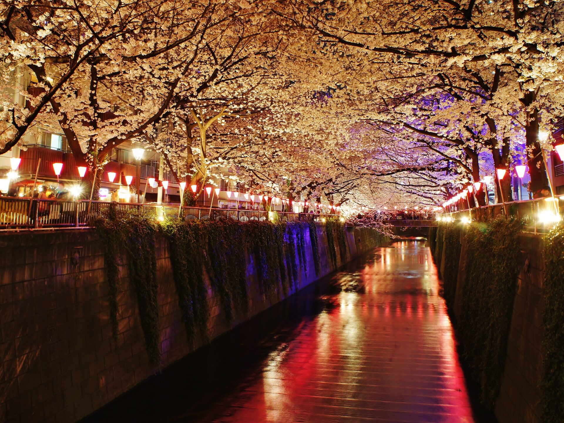 Spring 2026 anime collab cafe storefront in Tokyo with Golden Week queue forming