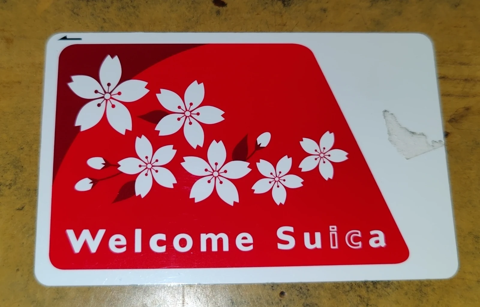 Real Welcome Suica IC card with sakura cherry-blossom design, the no-deposit physical tourist version of JR East's Suica