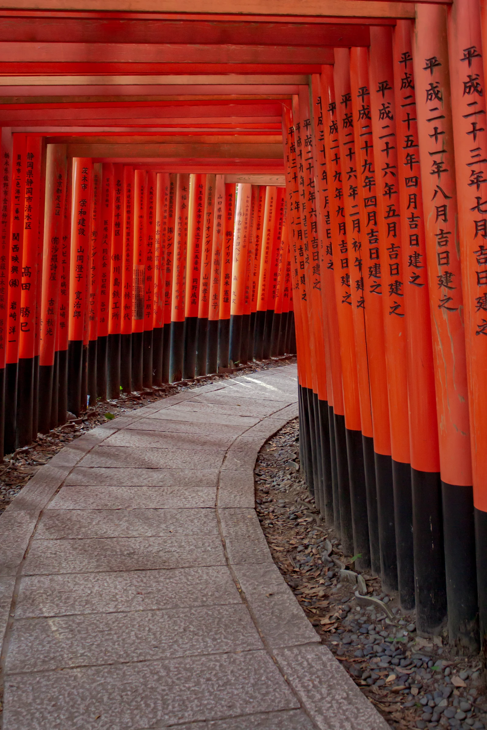Senbon-torii path at Fushimi Inari Taisha — vermillion torii tunnel featured in Inari Konkon and Fruits Basket