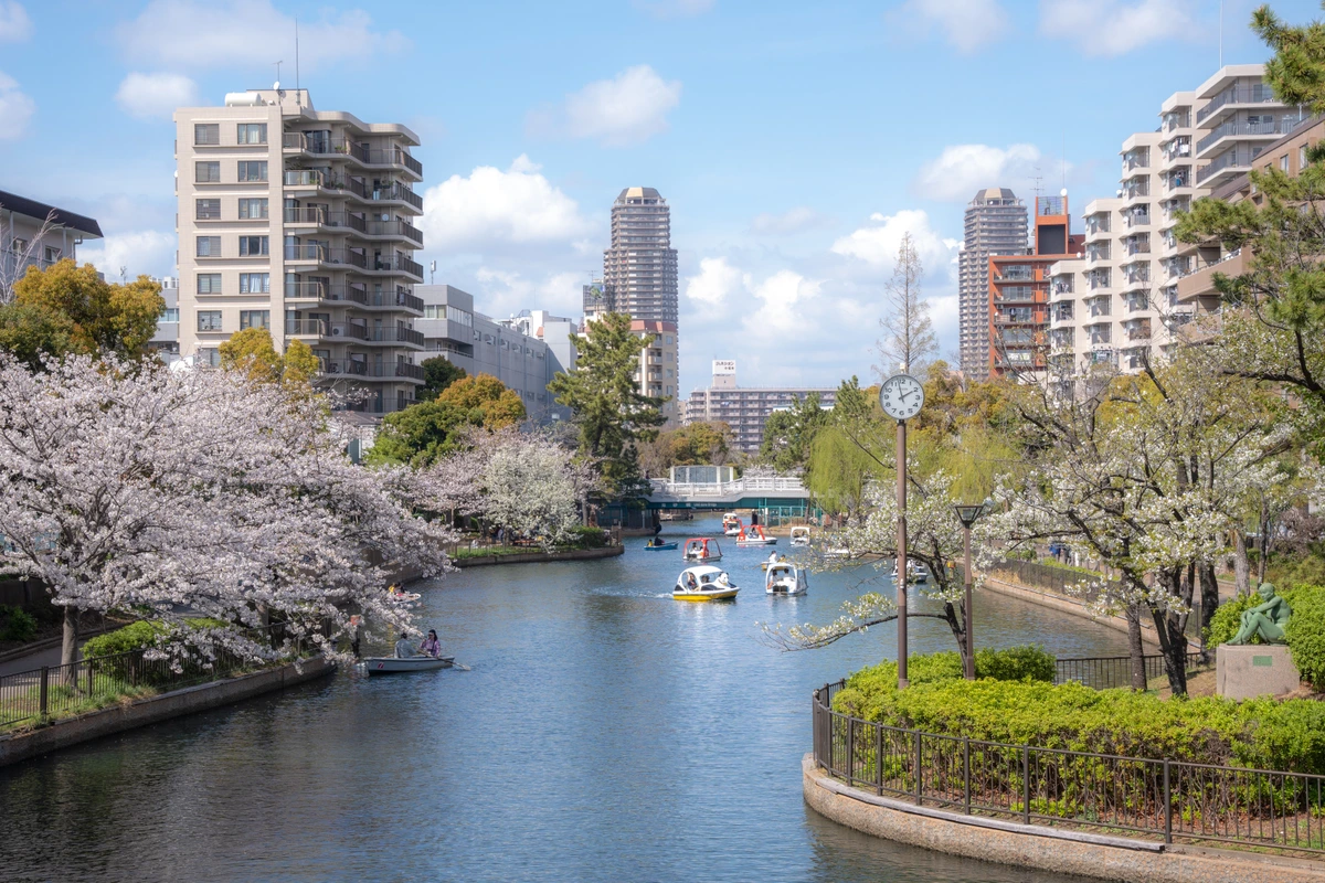 Cherry blossoms framing a Tokyo street in spring 2024, the seasonal backdrop that overlaps with the April-May collab cafe rotation