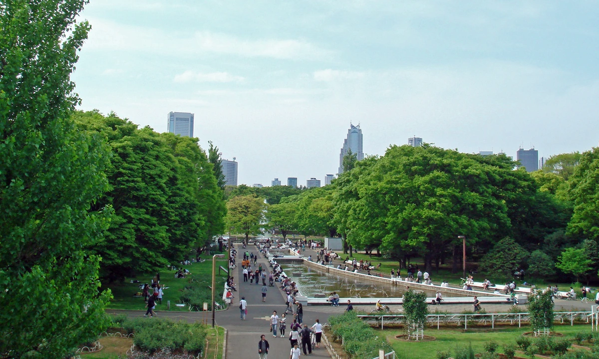 Main avenue in Yoyogi Park, Tokyo, one of the pilgrimage zones for Weathering With You (Tenki no Ko)